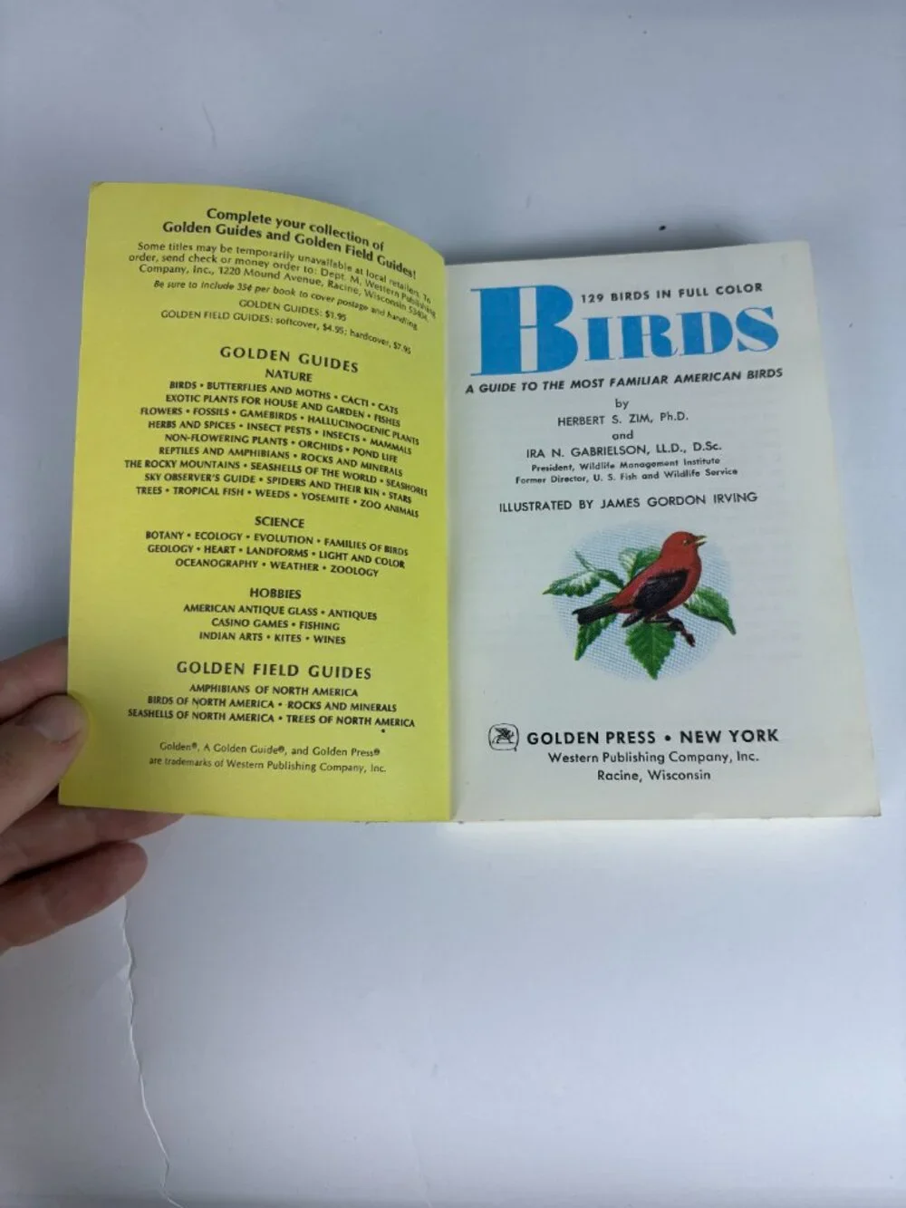 Vintage Golden Guide Birds Field Guide Book by Zim & Gabrielson | Pocket Bird Id